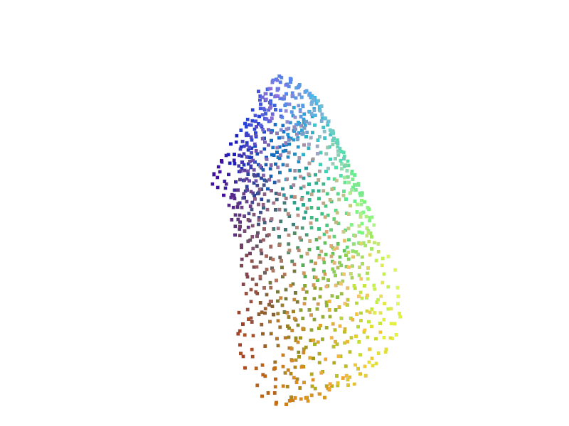 GIF 4